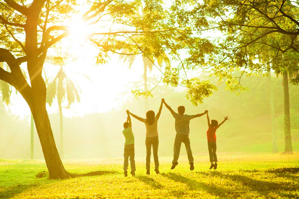Organic Living Made Simple